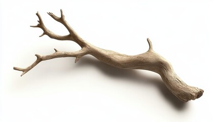 A weathered wood branch isolated on white background