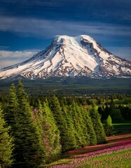 Mount Hood in Oregon in the USA during the spring surrounded by pine forests