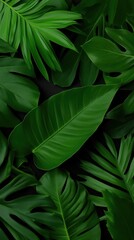 Fototapeta premium Close-up of lush green tropical leaves creating a vibrant and natural texture, emphasizing the freshness of nature