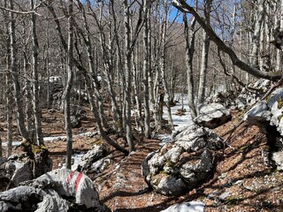 Premuzic hiking trail or Premuzic Trail - Northern Velebit National Park, Croatia or Premuzic-Wanderweg or Premuzic's Trail (Pješački planinarski put Premužićeva staza - NP Sjeverni Velebit, Hrvatska)