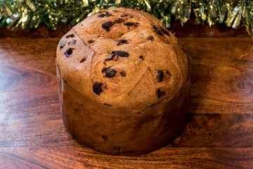 Panettone with Chocolate Chips, Chocottone