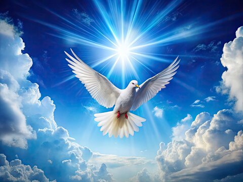 Pentecoste, Natale, Colomba Bianca, Stella, Sfondo Azzurro, Immagini Pasquali, Fotografia Aerea, Banner Pasqua, Cielo Azzurro, Festa Religiosa