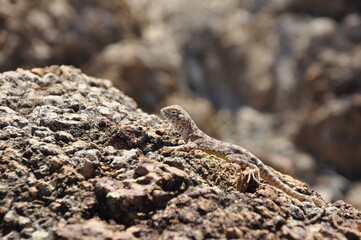 Outback QLD 