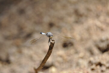 Outback QLD 