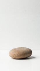 A small, smooth stone on a pristine white background, earthy tone, texture, minimal