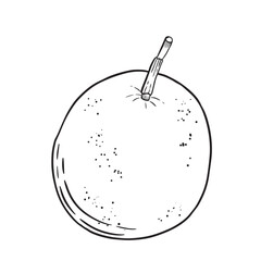 A beautifully handdrawn illustration of a fresh and vibrant apple complete with a stem