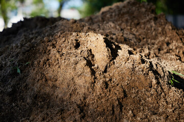 A Pile of Rich Soil Exhibiting Natural Light Ideal for Gardening or Landscaping Usage