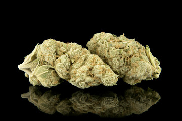 Medicinal marijuana isolated on a black background