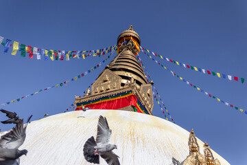 Pigeons flying around Swayambhunath, also known as Monkey Temple which is located at Kathmandu, Nepal
