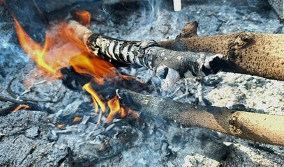 Close-up of firewood burning amidst ashes
