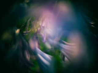 abstract nature background