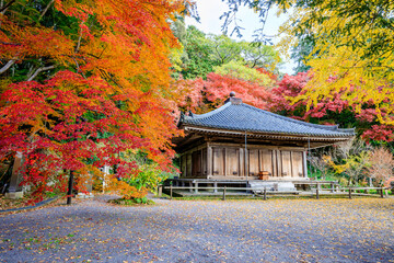 秋の富貴寺　大分県豊後高田市　Fukiji temple in autumn. Oita Pref, Bungoono City.