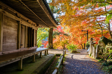 秋の富貴寺　大分県豊後高田市　Fukiji temple in autumn. Oita Pref, Bungoono City.