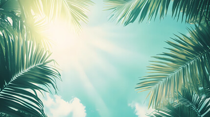 Sunlit blue sky under tropical palm trees