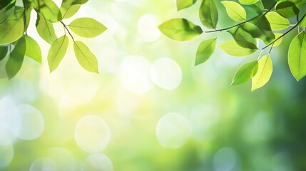 Fototapeta premium Green Leaves with Soft Focus Background in Natural Setting