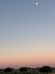 Sunset colours of the sky gradient 