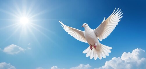 Obraz premium White Dove Soaring In Sunny Blue Sky