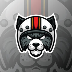 A mascot of a cat head wearing a motorcycle helmet