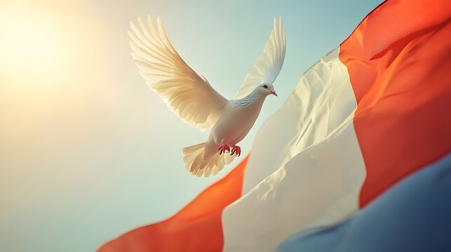 White dove flying near flag, sunny sky, peace concept