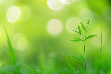 Fototapeta premium Young green plant surrounded by a soft-focus vibrant green background.