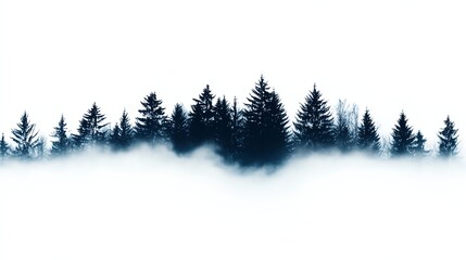 Fototapeta premium A winter forest with mist rising, serene and mysterious atmosphere, fine art photography, isolated on white background