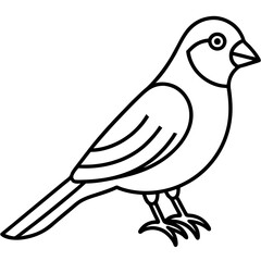 illustration of a bird