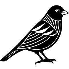 bird on a branch