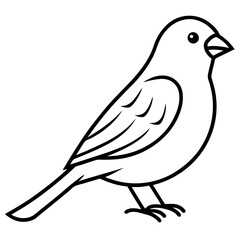 dove of peace