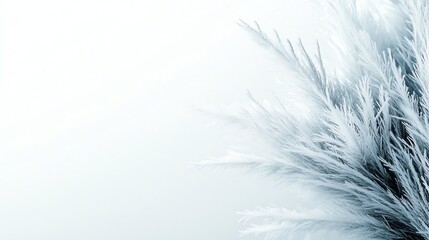 Fototapeta premium A delicate snowflake captured in extreme closeup, crystalline structure, artistic winter photography, isolated on white background