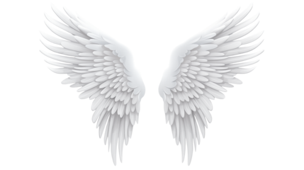 Angelic Feathers for Design Projects on a transparent background 