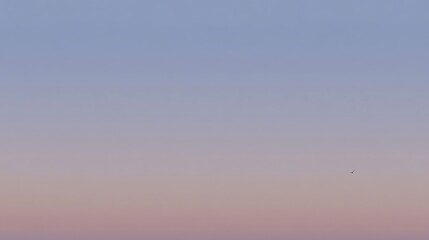 Pale Sky Hues With A Solitary Bird In Flight