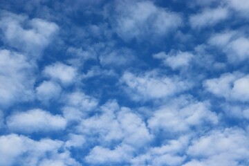 Fototapeta premium asset-45a3859a-8928-43b7-9ec4-c9e57525cdb0.jpg