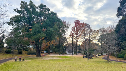 落ち葉に包まれた蛇ヶ谷公園の遊び場