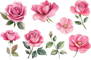 Fototapeta premium seamless pattern with pink roses