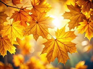 Close-up of maple leaves, glowing in the soft autumn light.  Fall's golden hues captured in low-light photography.
