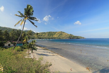 Tropical Beach Meets Lush Green Hills with Crystal Clear Ocean and Palm Trees Swaying Gently