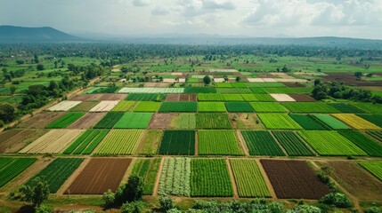 Aerial View of Lush Green Farmland in Africa
