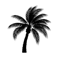 Celebrating ramadan palm trees tropical oasis nature scene serene environment vibrant culture