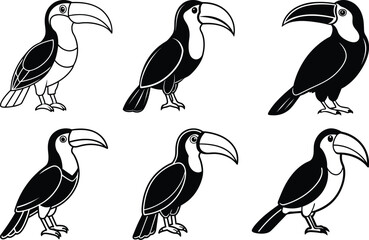 Clean Toucan set silhouette vector illustration, Toucan line art vector, Toucan vector design