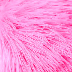 Obraz premium pink feather background