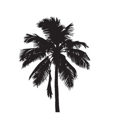 Iconic Silhouette of Palm Trees for Tropical Settings