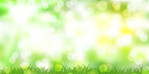 Obraz premium 新緑 風景 背景