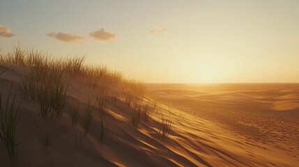 Obraz premium Serene Dunes Under Golden Sunset Light