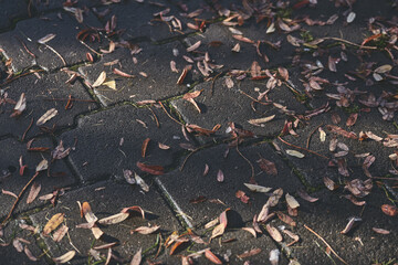 Autumn leaves, both dry and damp, lie scattered across a dark brick pathway