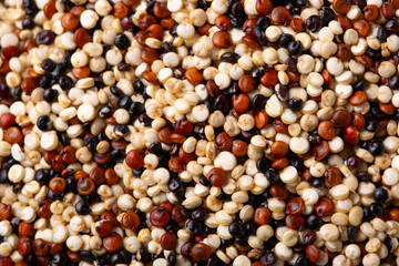 トリコロールキヌア