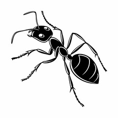vector-silhouette-of-ant