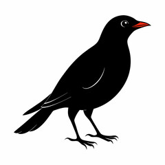 vector-silhouette-of-blackbird 