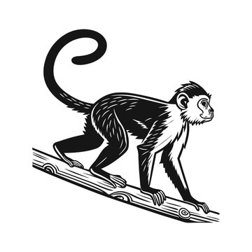 vector-silhouette-of-capuchin-monkey-on-white-back 6