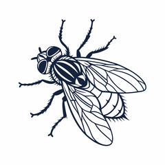 vector-silhouette-of-fly