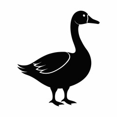 Vector-silhouette-of-duck